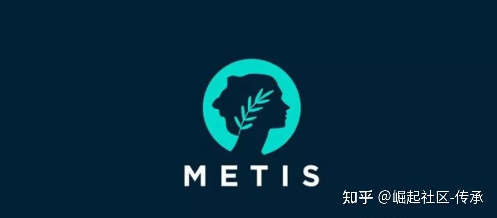 metis回报率10000什么来头未来如何