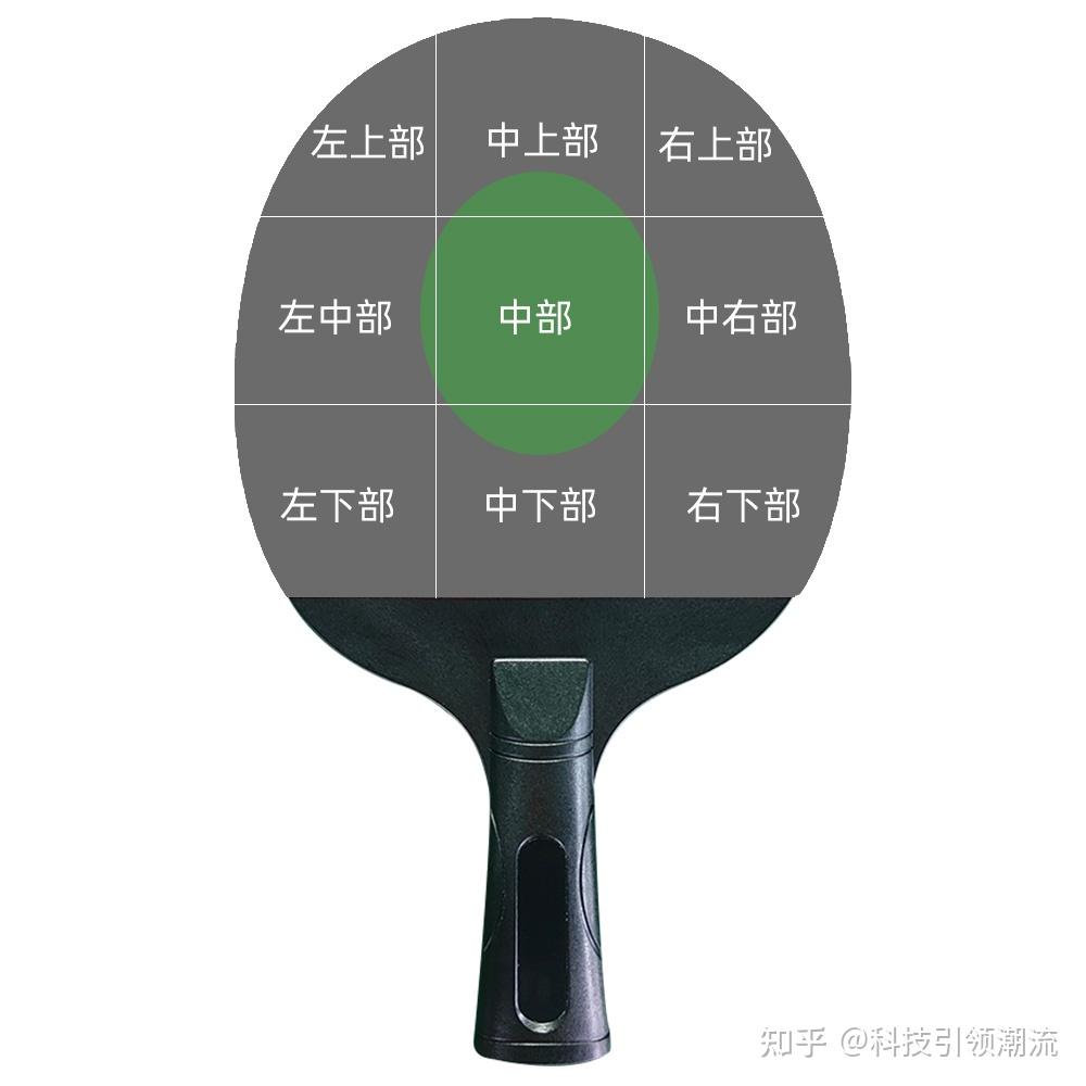 乒乓球拍共分为9个区域,分别是中部,中上部,中下部,左中部,右中部,左