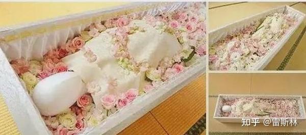 山东菏泽曹县是真的牛皮666 知乎