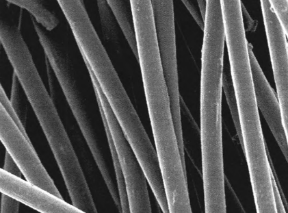 弹性涤纶纤维与部分产品