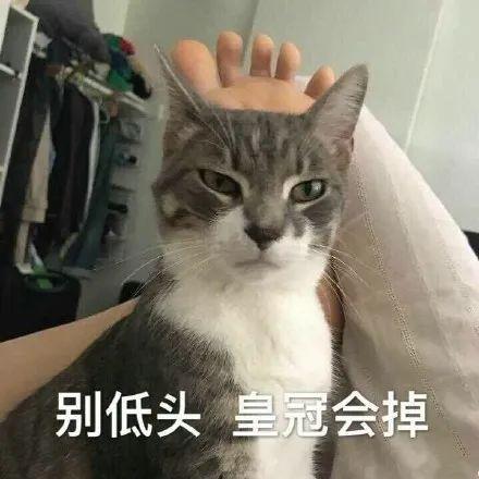 v2-7b33c82f30d34c0027c88e51b100fb56_r.jpg