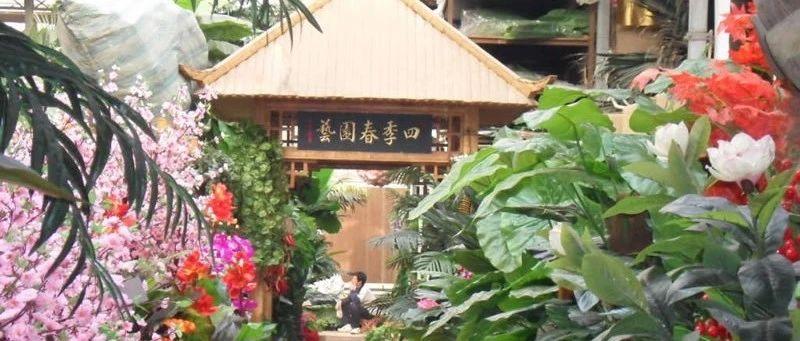 周末买花 来看这些花市是不是在你家附近 知乎