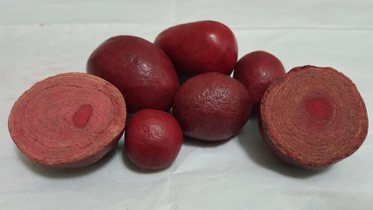 豪猪身上能获取非常珍贵的药材--豪猪枣.