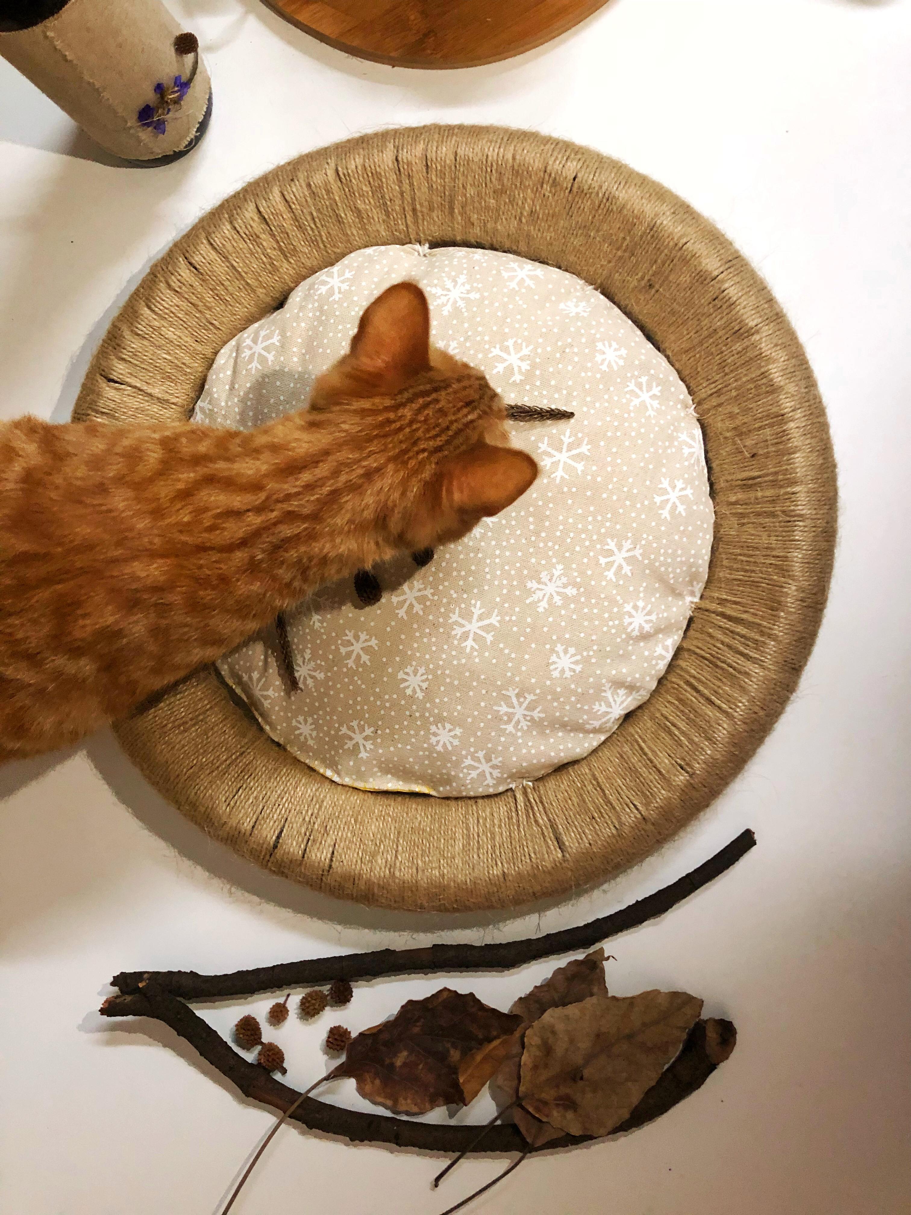 给虾条做的猫窝 所需材料,废弃旧轮胎一个,细麻绳一卷,一块小花布