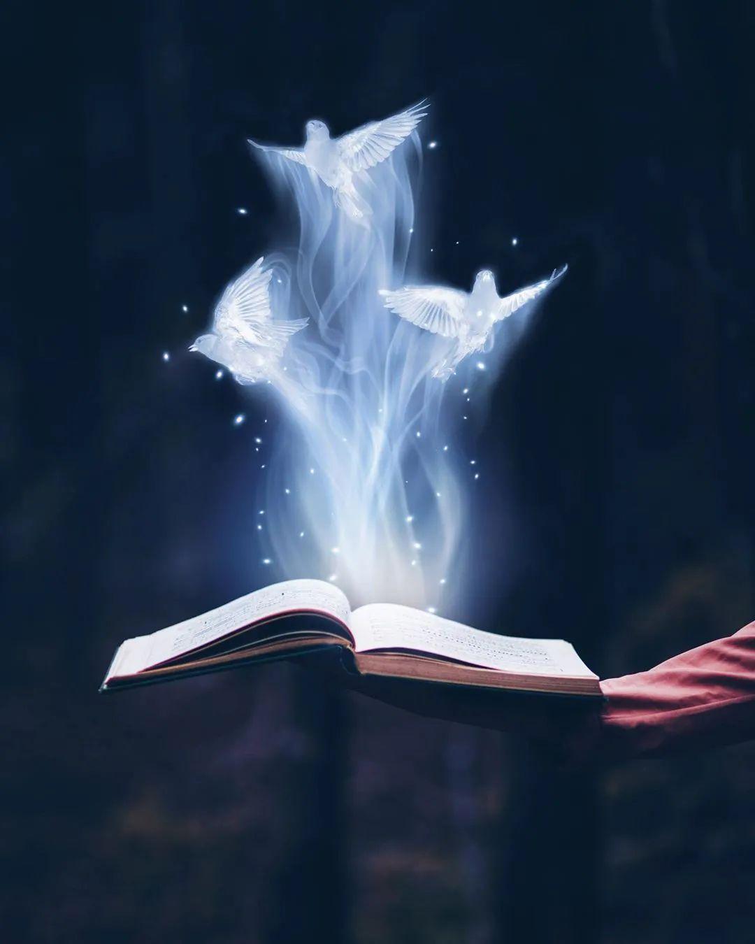 奇幻 | 创意合成趣味家庭摄影,alexandria 作品精选