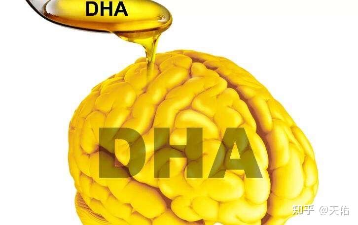 DHA的作用与功效，DHA对视力的影响 - 知乎