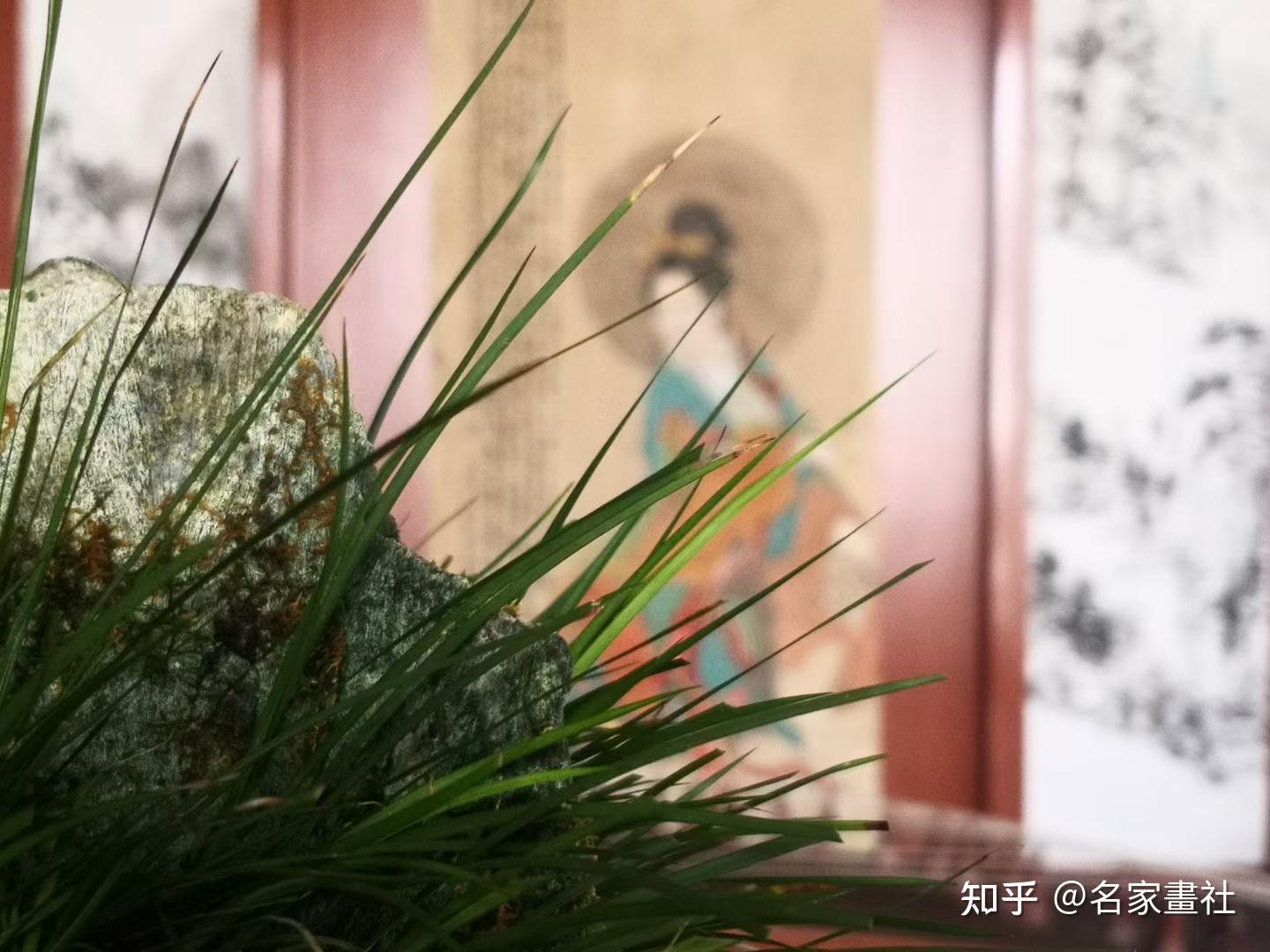 文房案头：菖蒲贵在山野之气- 知乎