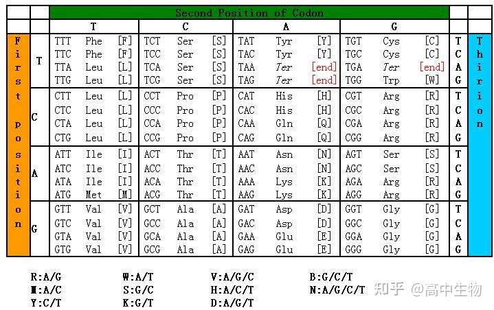 PCR引物设计方法 - 知乎