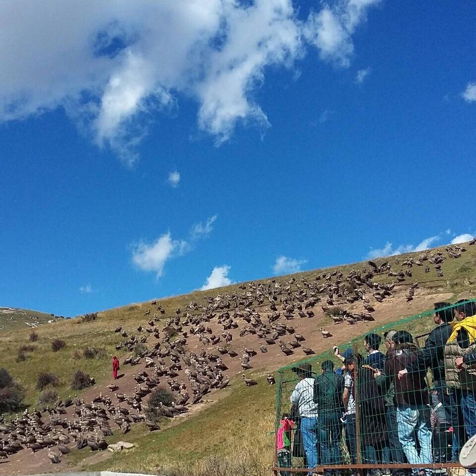 傳統喪葬方式,人死後把屍體拿到指定的地點讓禿鷲吞食,就跟土葬,水葬