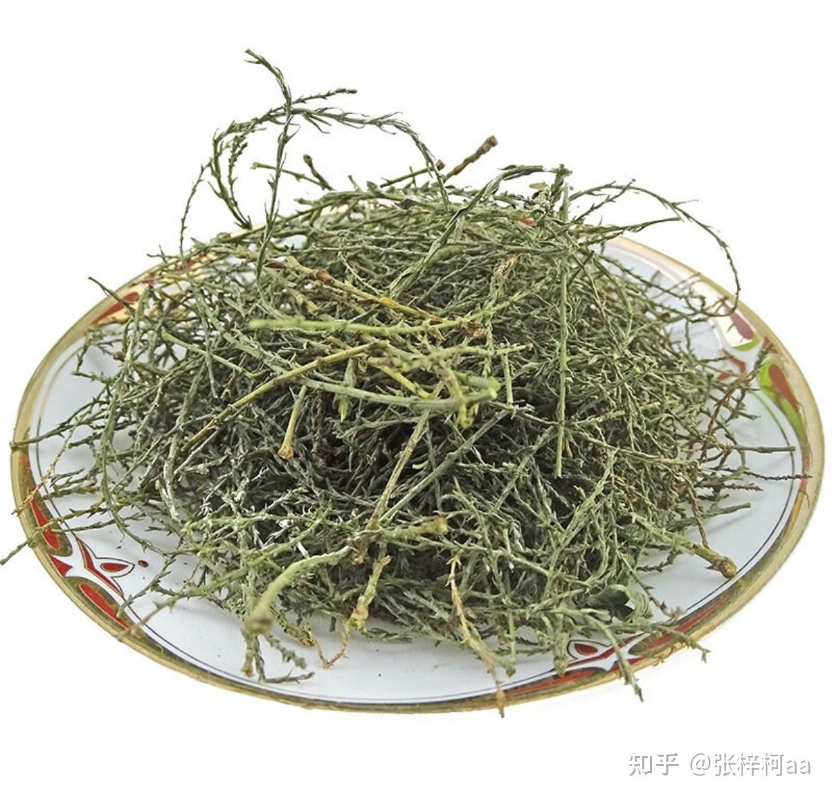 中药学—西河柳