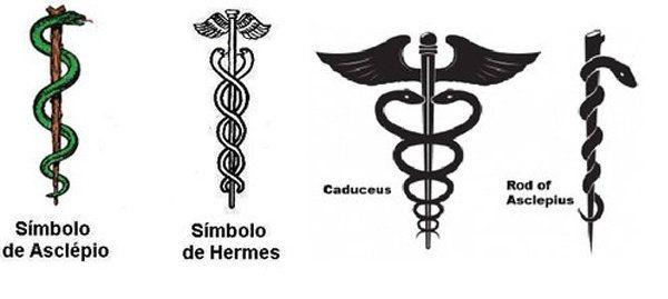 学术权杖哪家强?"东方魔法杖"大揭秘!