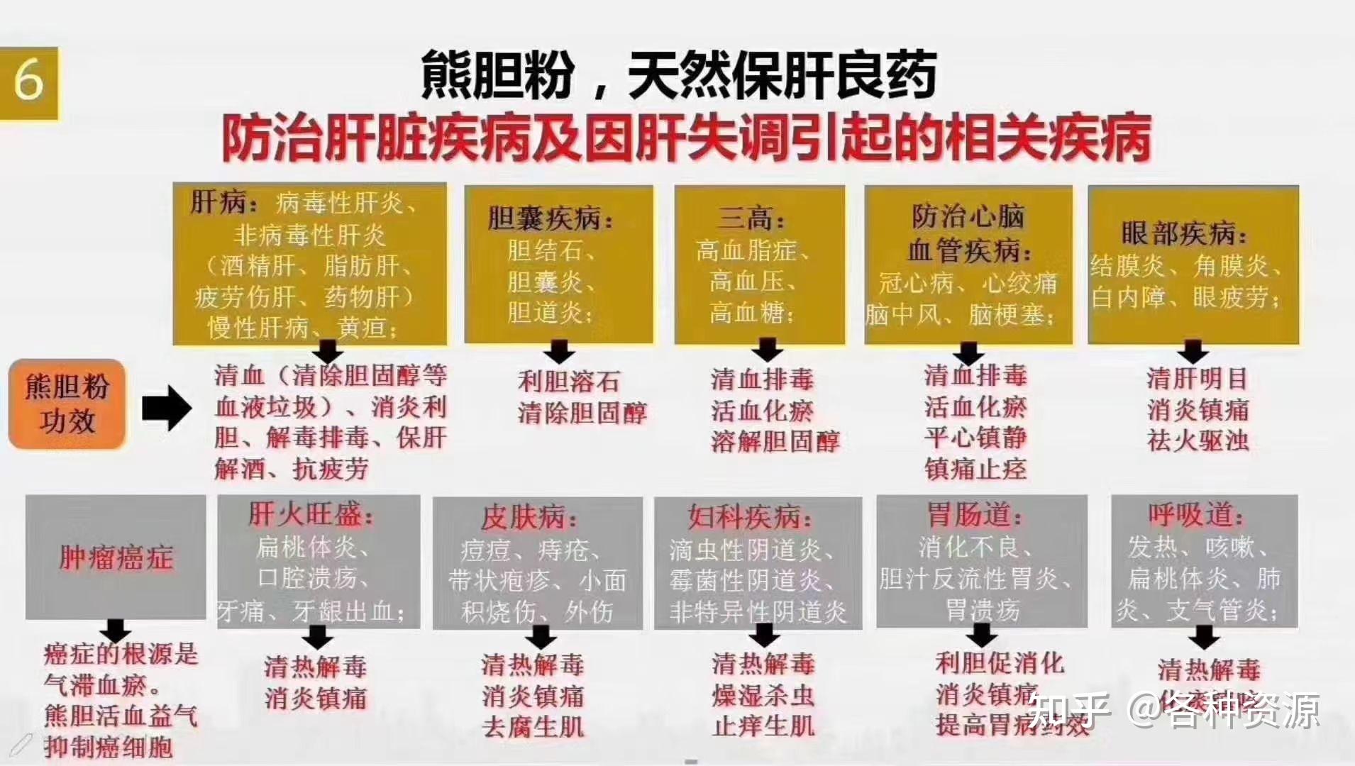 金胆冻干粉熊胆粉