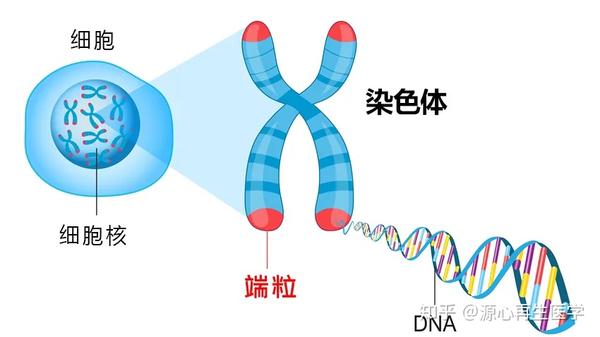 知乎专栏