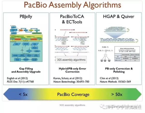 三代测序入门:PacBio数据分析 - 知乎