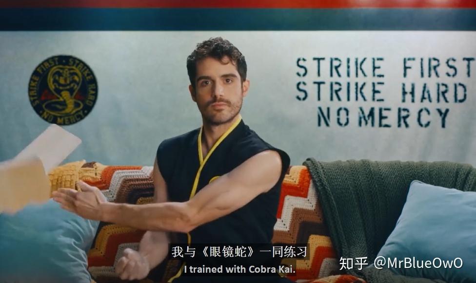 13 眼镜蛇 cobra kai