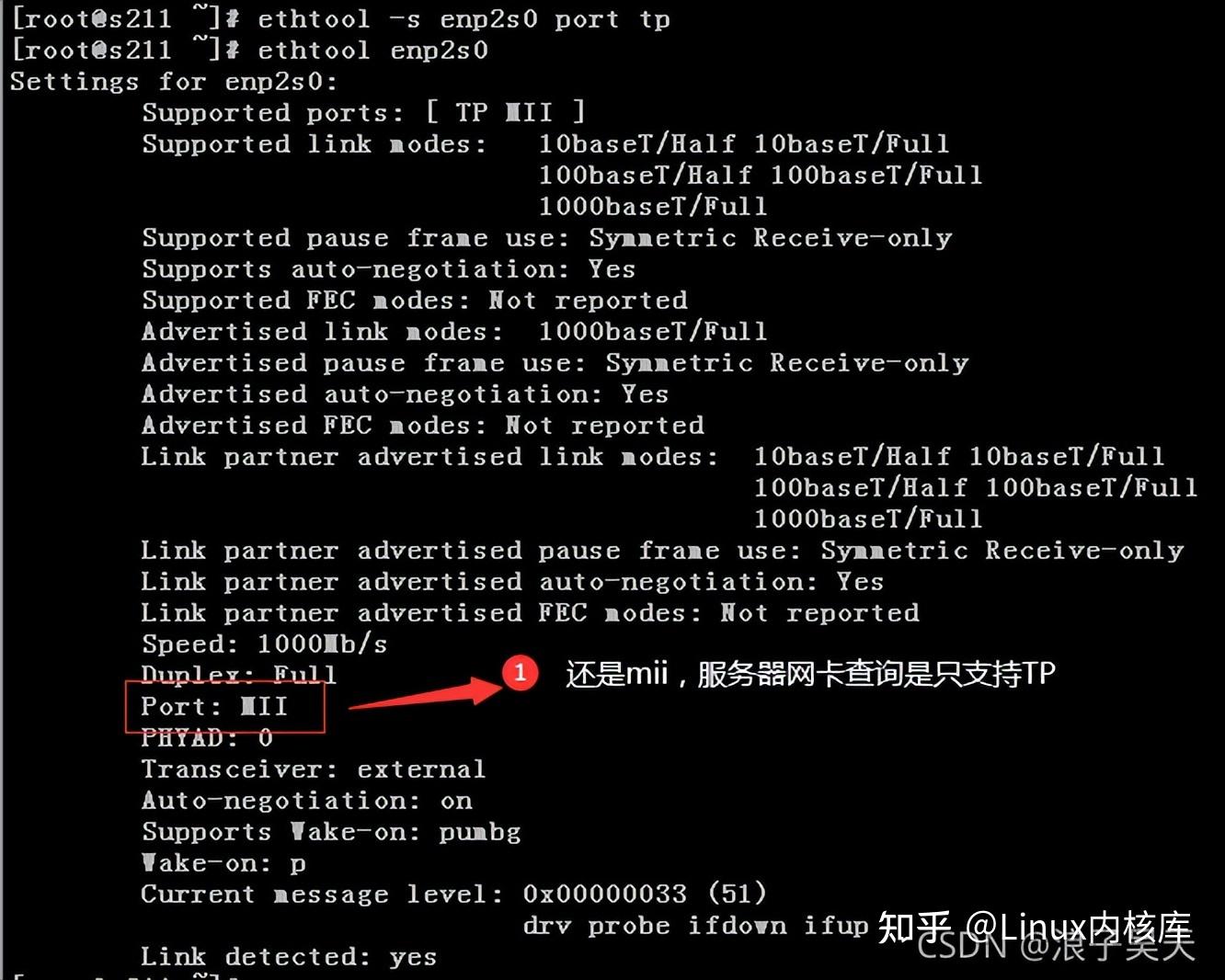 一文解析ethtool 命令的使用 知乎