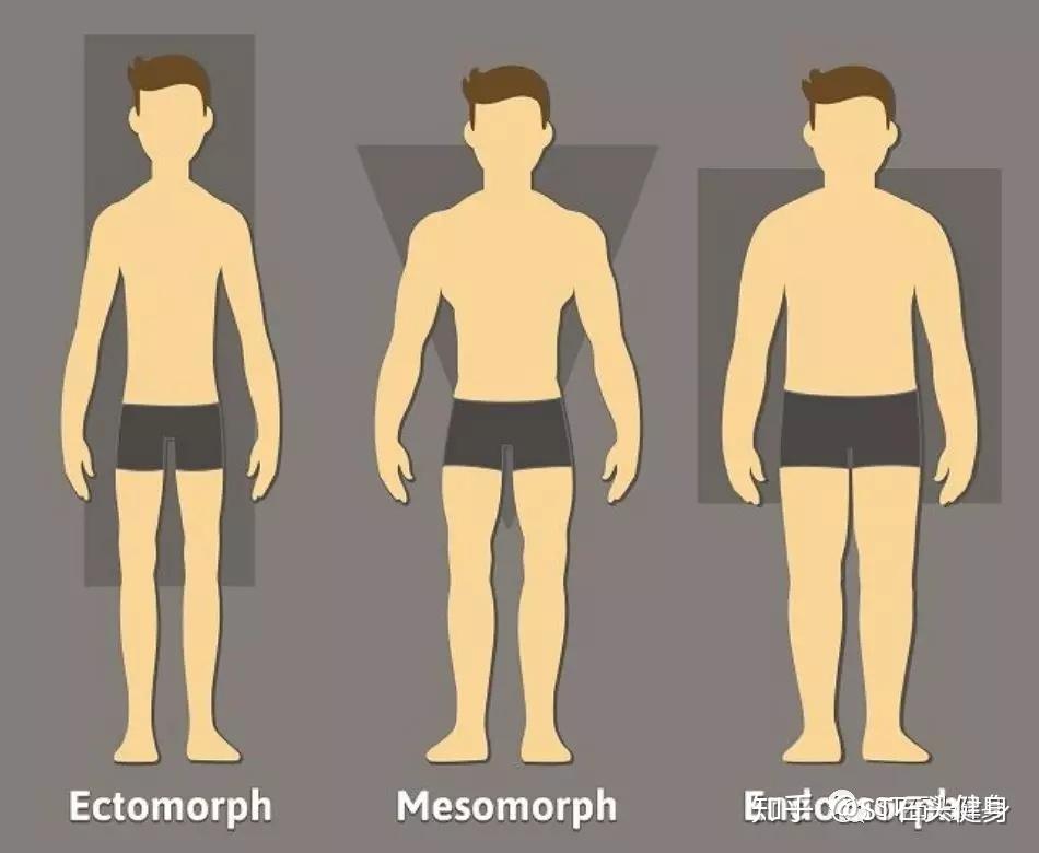 每个人都有不同的体型,有些人天生体型偏瘦,有些人偏胖.