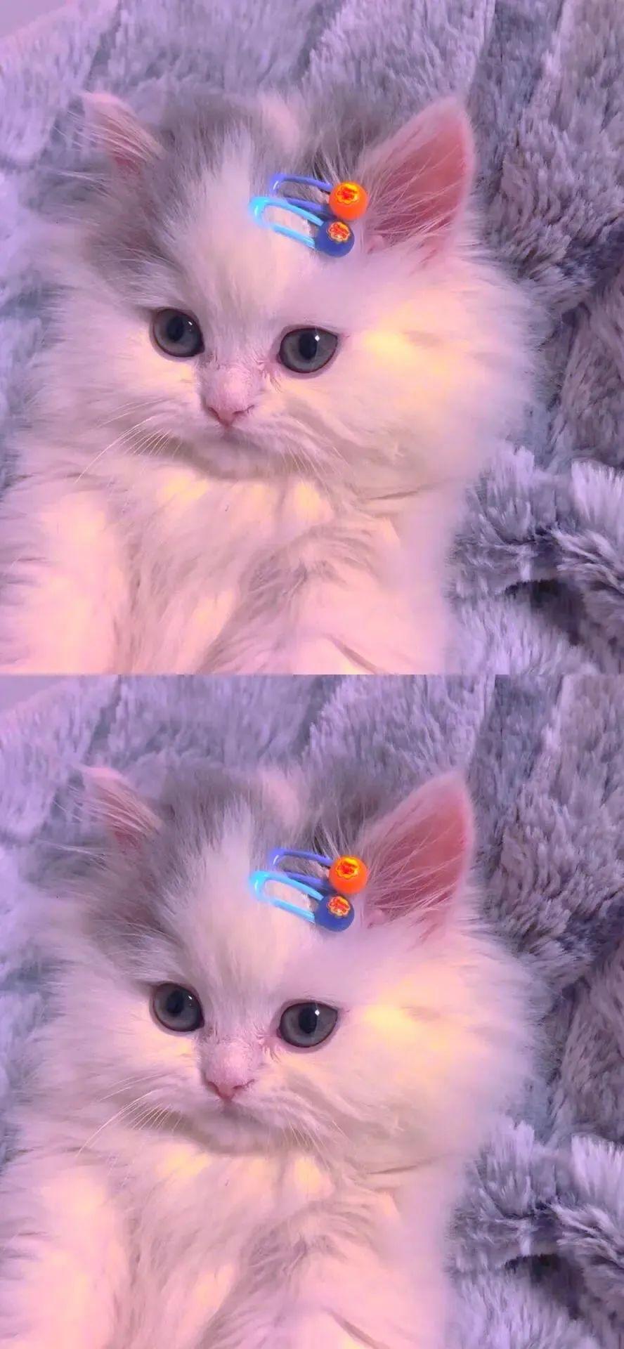 13 手机壁纸 | ins高级质感壁纸 - 知乎