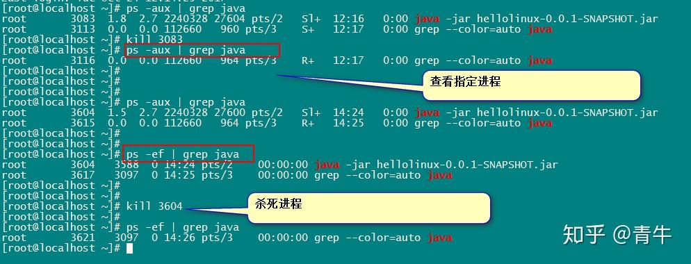如何检查并管理Linux系统中的端口状态？