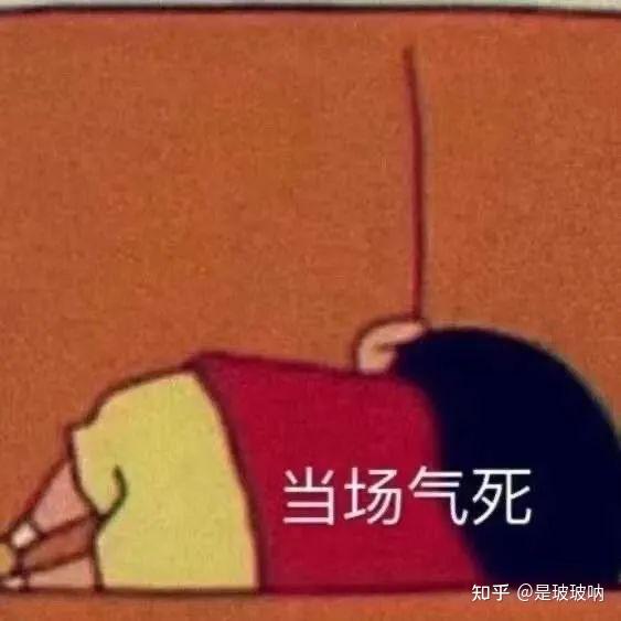 你有被自家狗狗气得发疯的经历吗