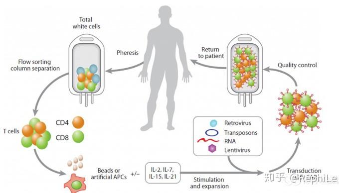 Car T细胞治疗技术介绍 知乎 5225