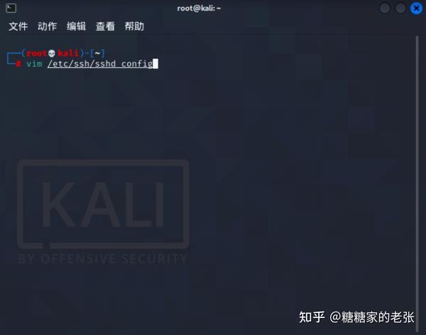 kali Ssh kali kali-ssh-kali