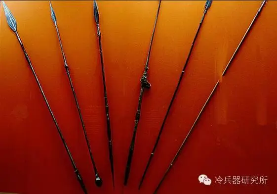 让人类登上食物链顶端的武器标枪