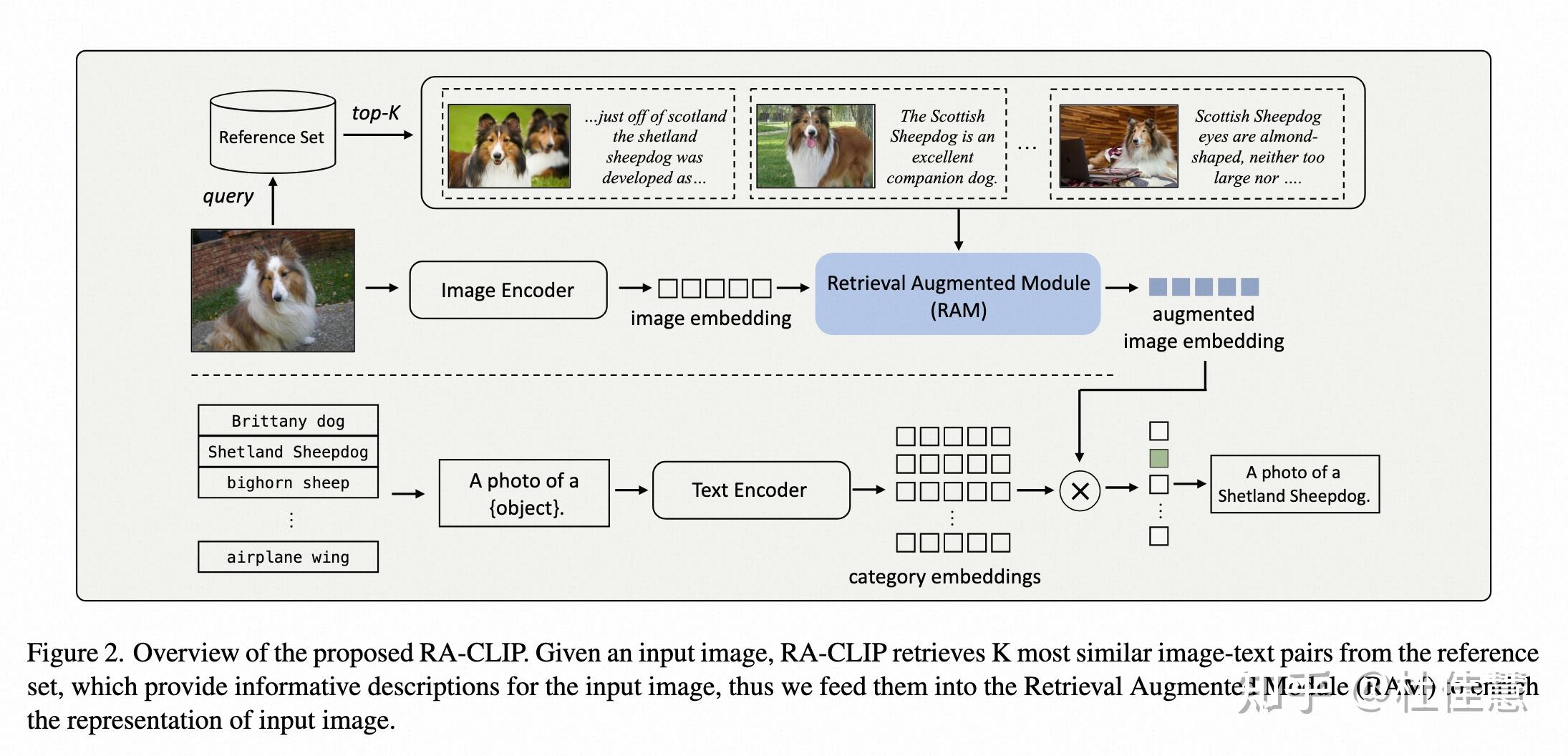 RA CLIP Retrieval Augmented Contrastive Language Image Pre training 知乎