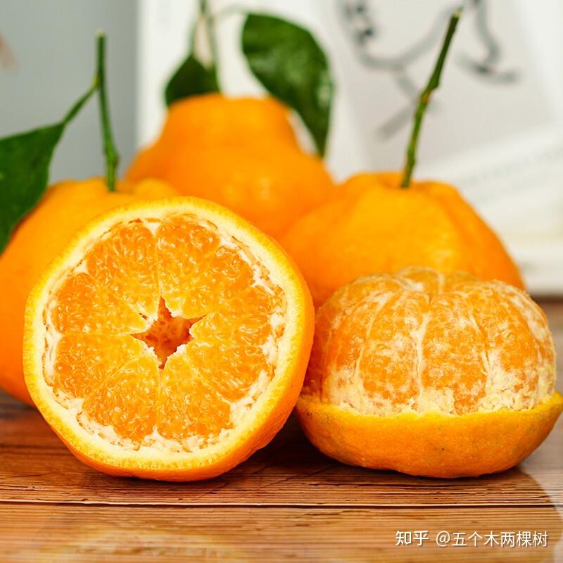 橘子、柑子和橙子你知道怎么区分吗?