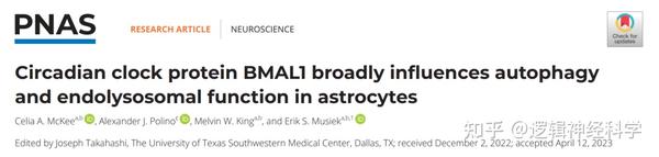 PNAS︱盛顿大学医学院团队发现生物钟蛋白BMAL1影响星形胶质细胞的自噬和内溶酶体功能 - 知乎