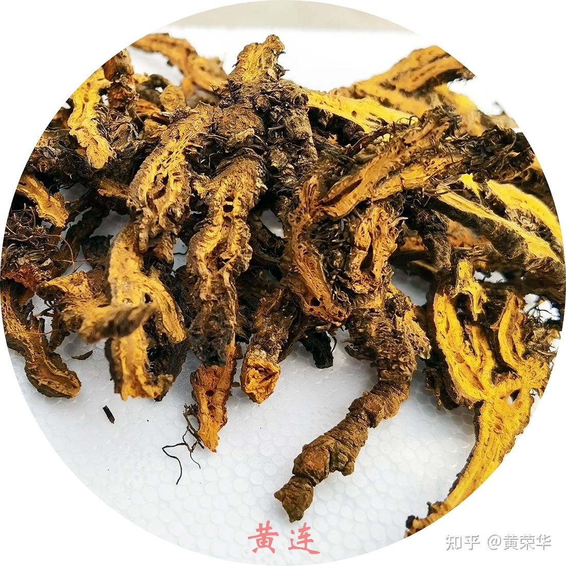 中国传统色:黄连黄 - 知乎