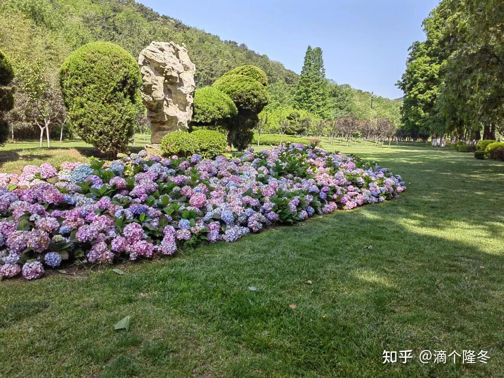 棒棰岛-大连最值得一去的地方 - 知乎