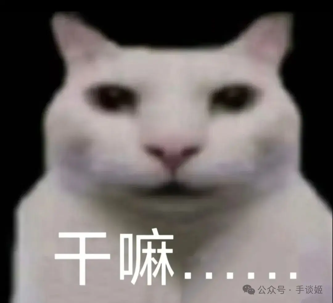 “干嘛猫”梗图谜之爆火 - 知乎