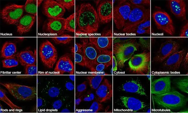 研究生情报专业及案例分享