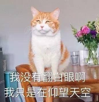 v2-7c40bf40f9c282bb0cfa9c0fd7dd3c1e_b.jpg