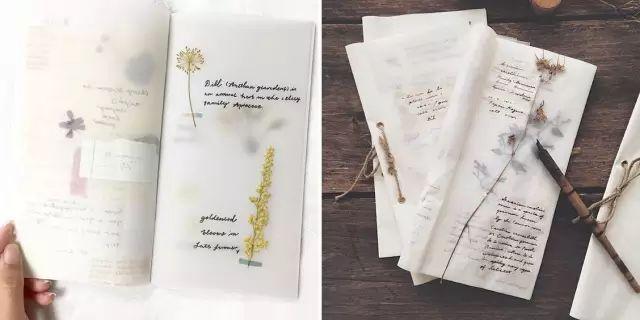梦境般的“压花”艺术,让你无法抵御的植物美学 - 知乎