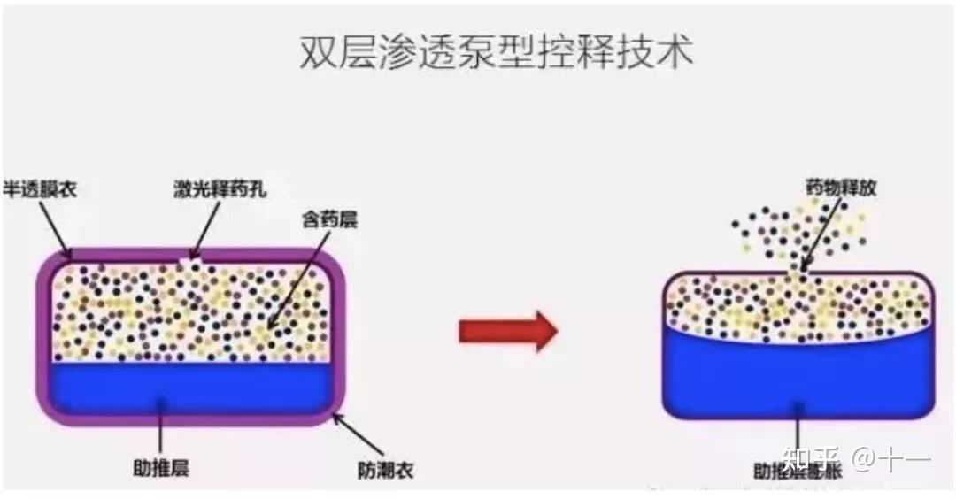 双层渗透泵制剂的过量投料 - 知乎