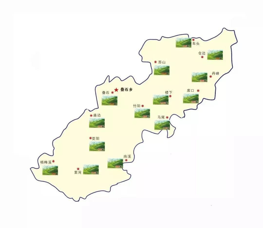 福建之茶丨福鼎白茶茶园分布图