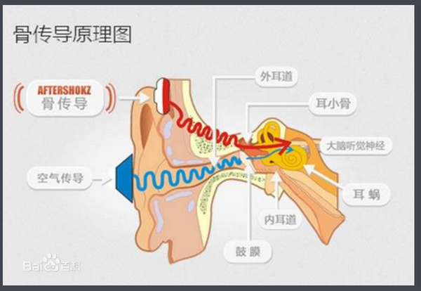 骨传导耳机 知乎