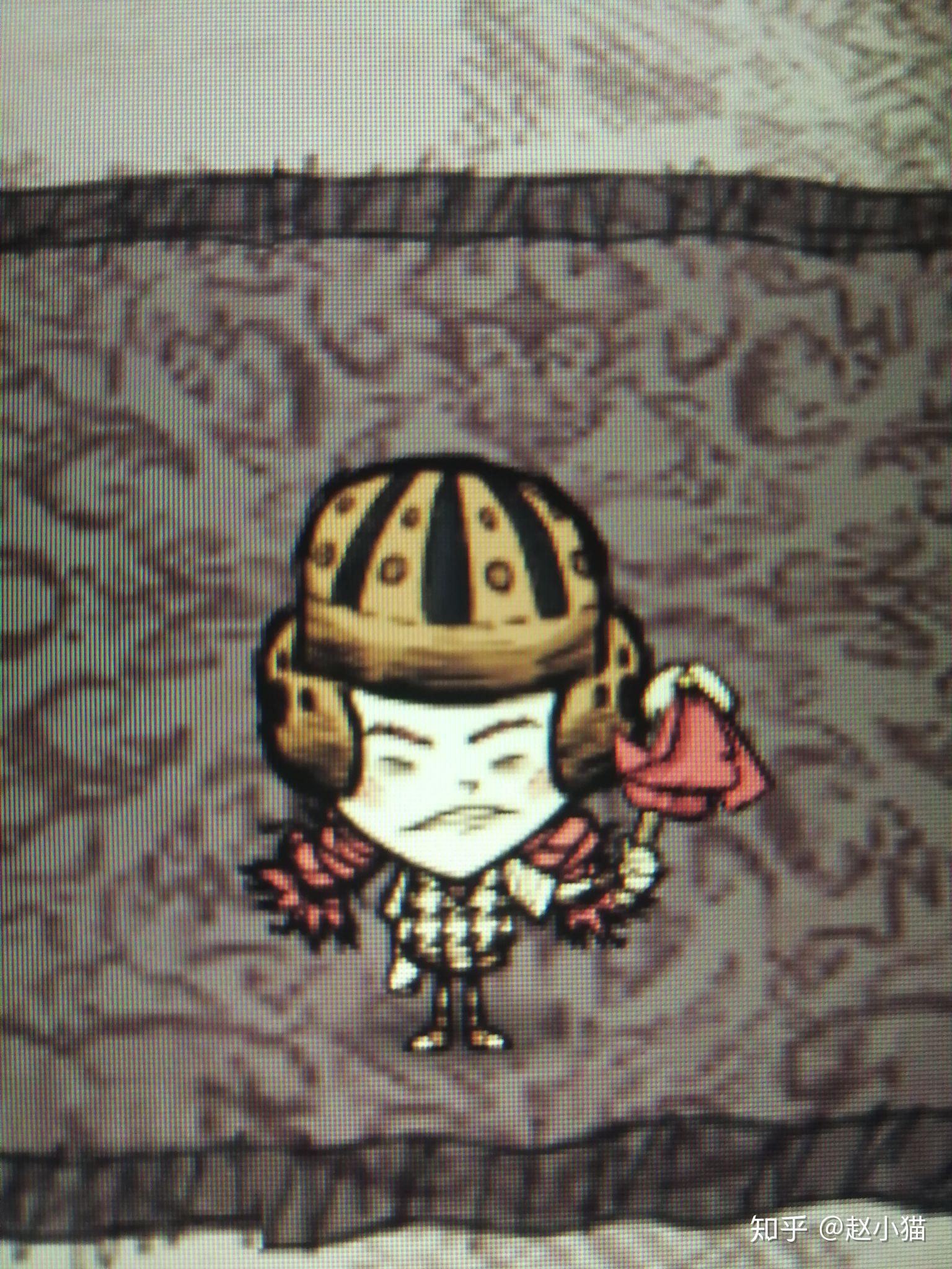 猪皮帽当饰品就好了23333 小风车只有走起来才会转 拍不出来羽毛帽