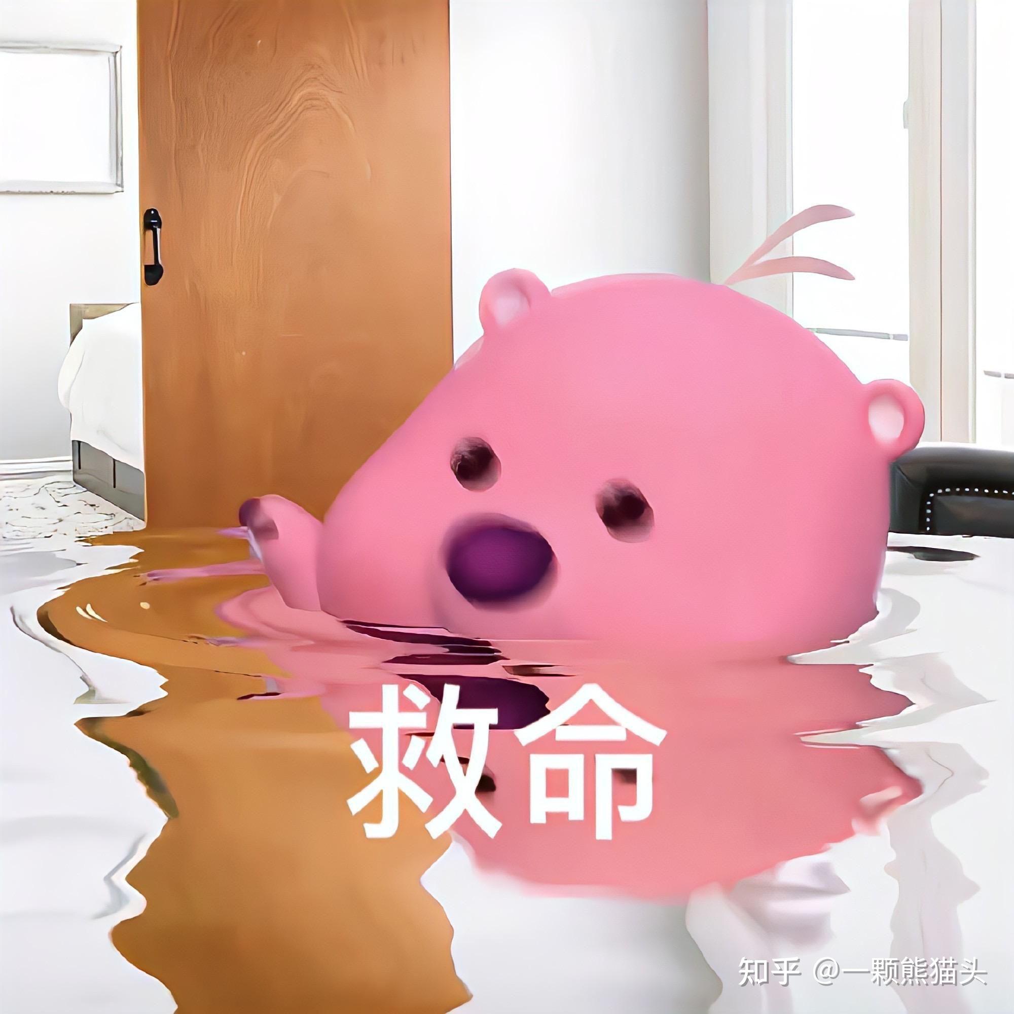 搞笑有趣的loopy表情包第五波来咯！ - 知乎