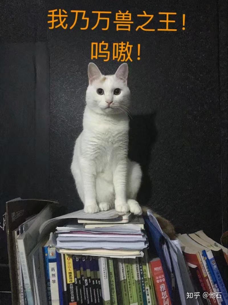 v2-7c7bc4ee6be3c6bd5c8d2a4bb4edb986_r.jpg