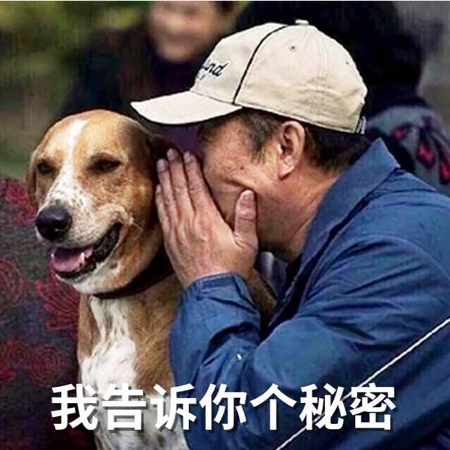 v2-7c871a05c77c0081700bb6c66b282360_1440w.jpg?source=172ae18b