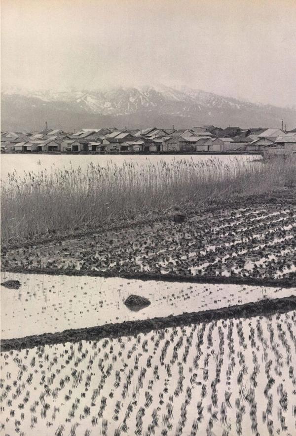 滨谷浩 Hiroshi Hamaya 雪国 知乎