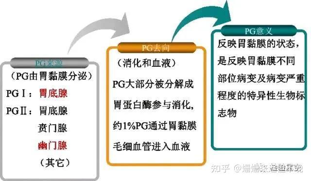 與胃底黏膜病變的相關性較大;pgⅠ/pgⅡ比值變化可反映胃黏膜萎縮程度