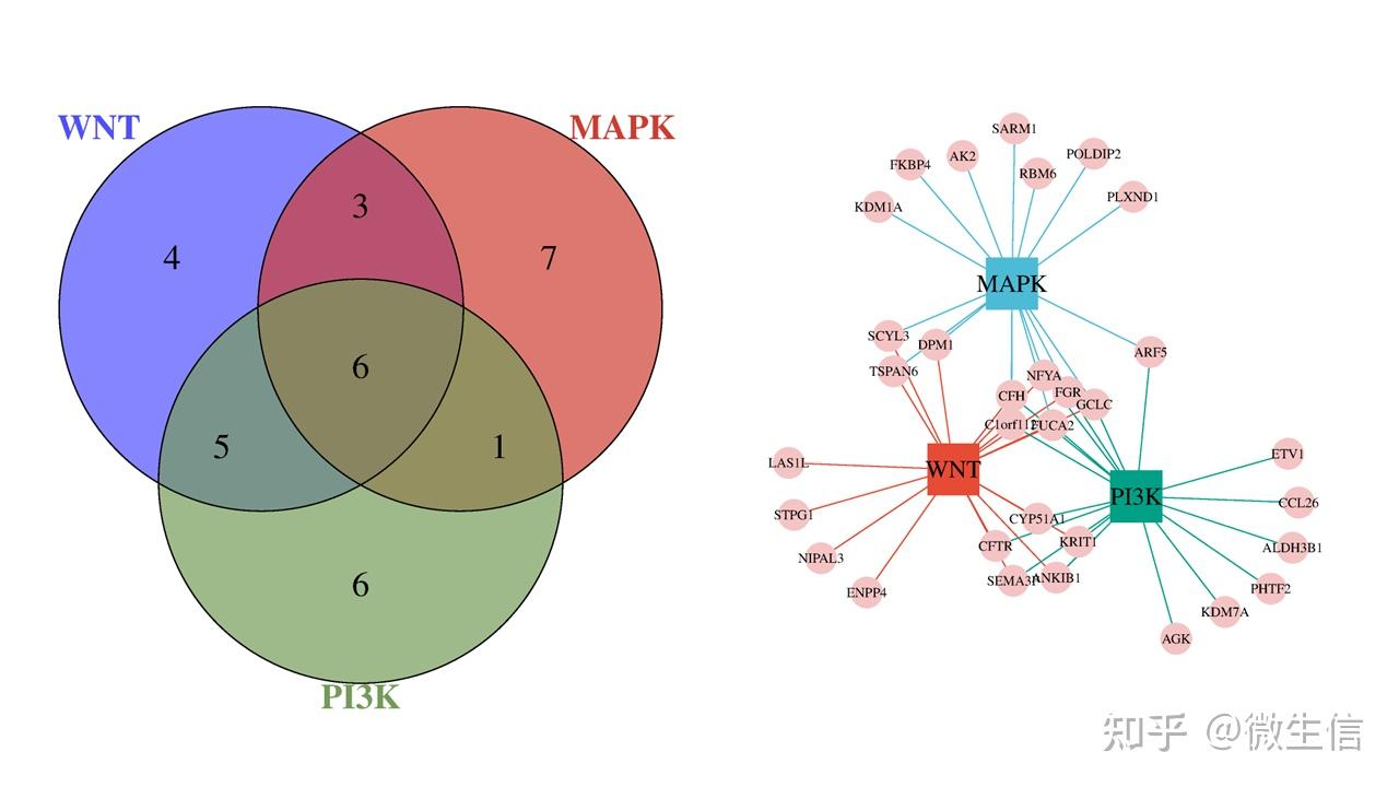 在线绘制展示基因集交集细节的网络venn图 - 知乎