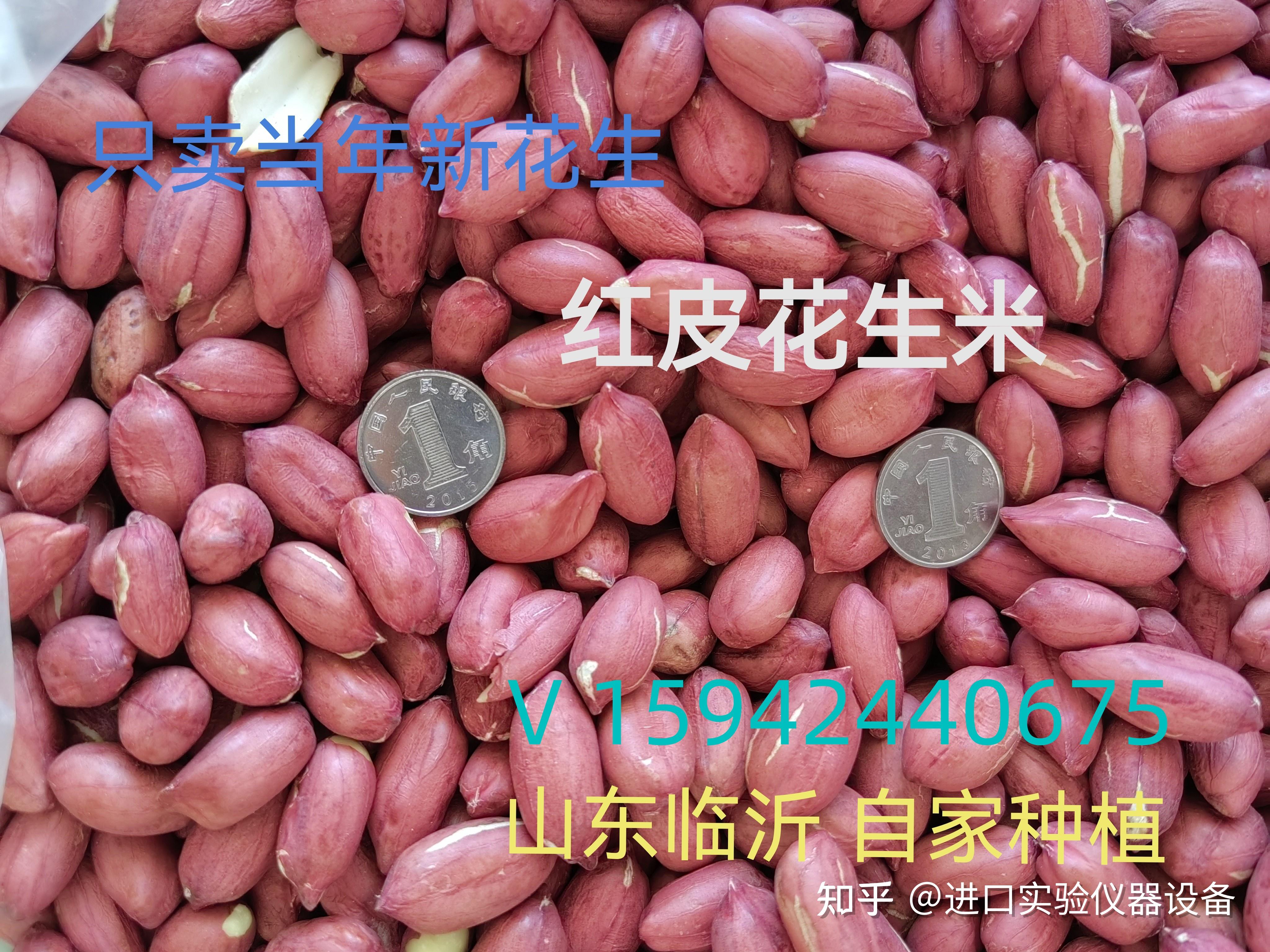 红皮花生的功效和作用-当季新花生米 - 知乎