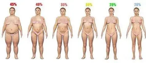 体脂率 知乎