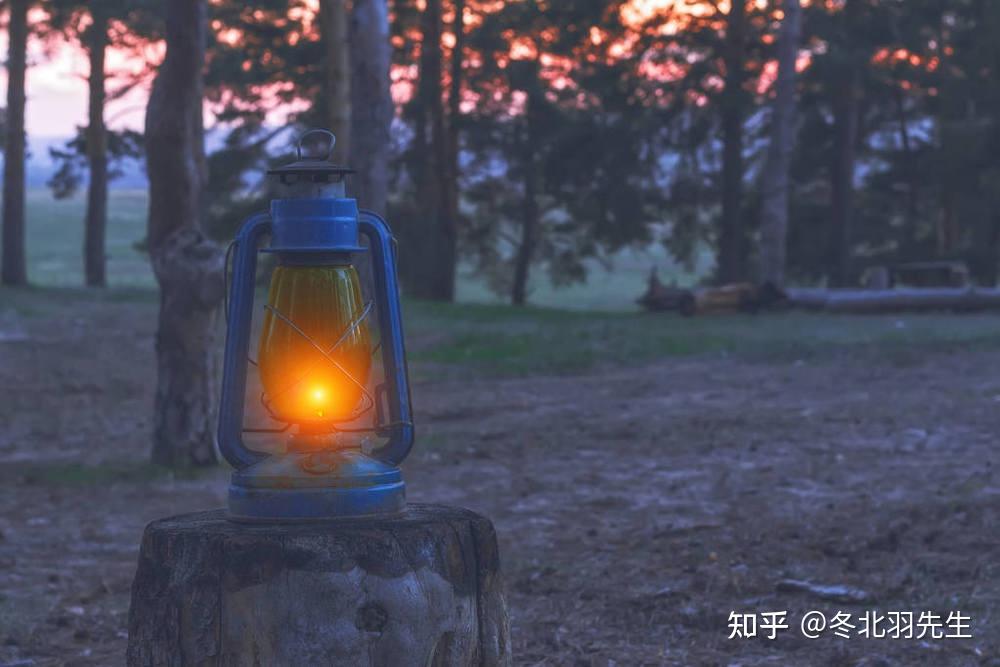 谈一谈丁火日干 - 知乎