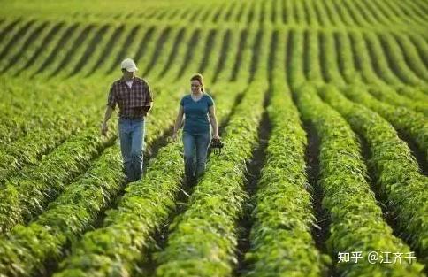 1818年,美国22岁农场主完成农业重组,开创四班制管理奴隶